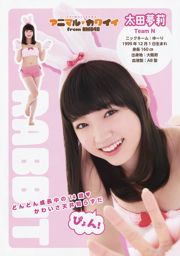 NMB48 Akari Yoshida Kei Jonishi Miyuki Watanabe Kaede Yagura Aya Yamamoto Kanako Muro [Young Animal] 2014 No.17 Photograph